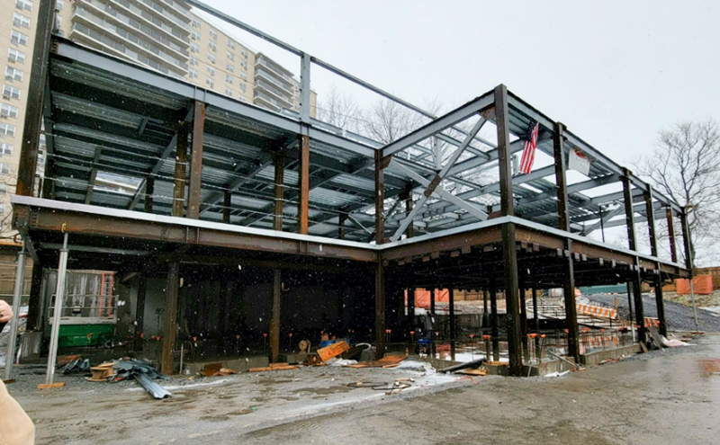 Stanley Manne Institute