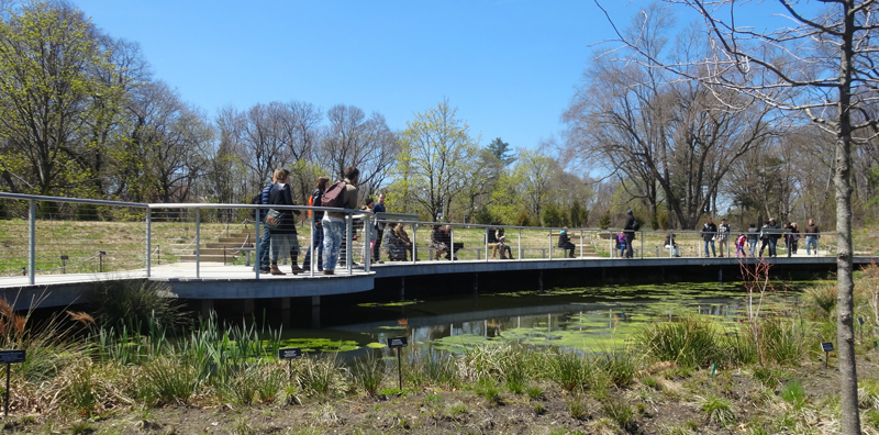 Brooklyn Botanic Garden Walkway