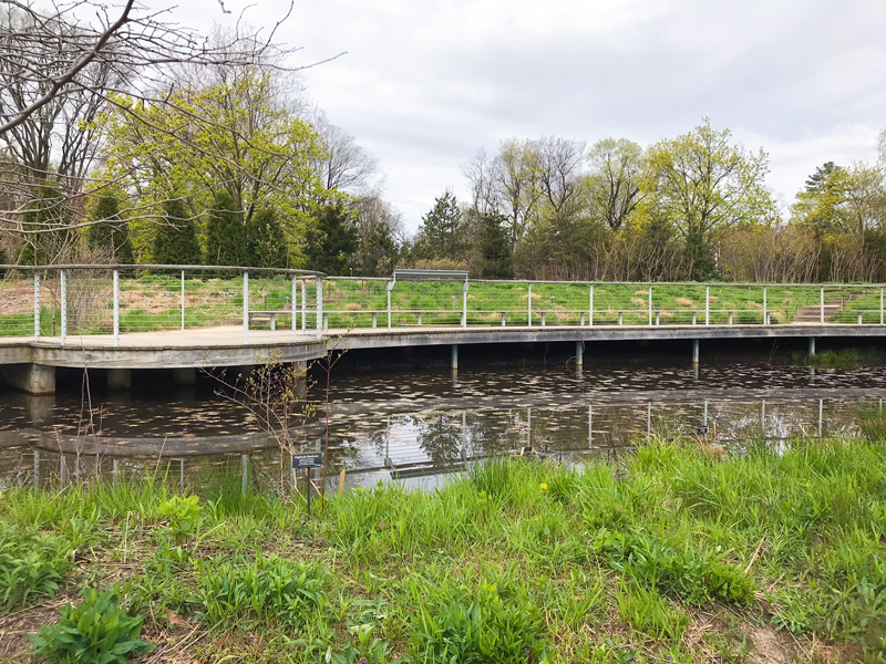 Brooklyn Botanic Garden Walkway